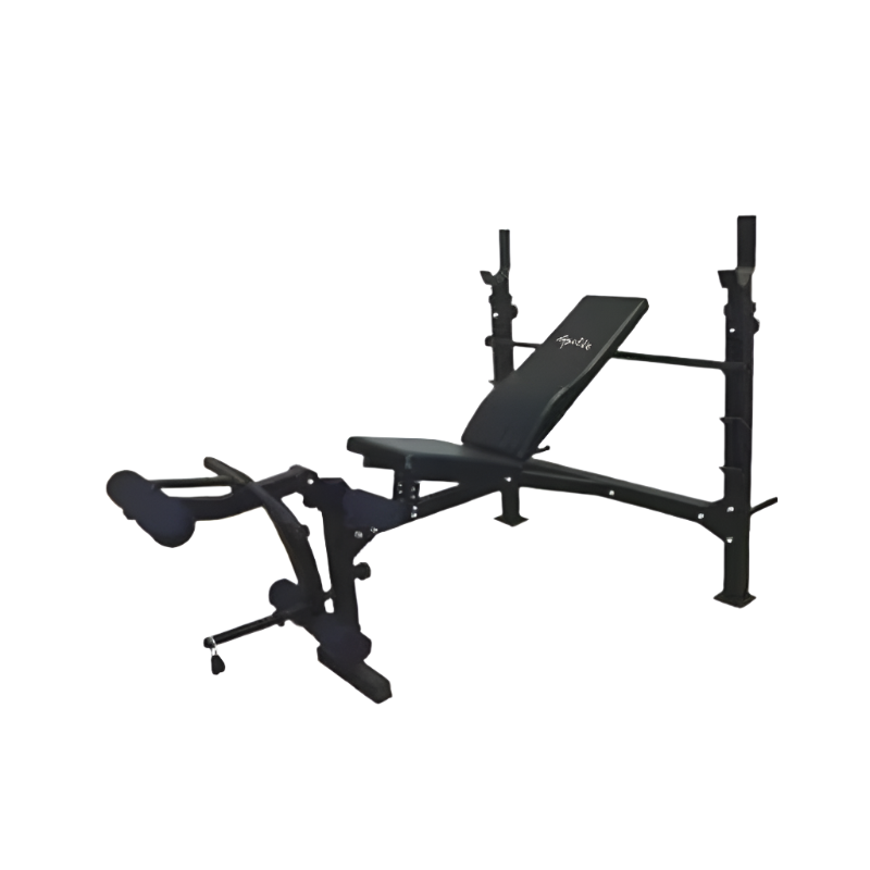Apollo Olympic Weight Bench for Strength Training